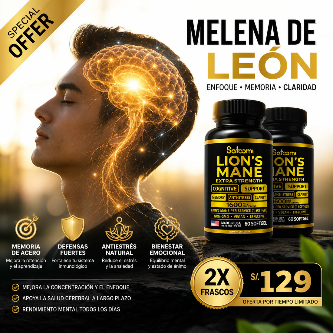 Recupera tu concentración con melena de LION